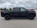 Thumbnail image of 2023 Chevrolet Silverado 1500 at Serra Chevrolet Toyota Saginaw