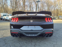 Thumbnail image of 2024 Ford Mustang at Liccardi Ford Inc