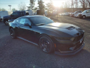 Thumbnail image of 2024 Ford Mustang at Liccardi Ford Inc