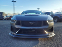 Thumbnail image of 2024 Ford Mustang at Liccardi Ford Inc