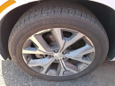 Thumbnail image of 2021 Hyundai PALISADE at Maxon Hyundai Inc.