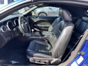 Thumbnail image of 2008 Ford Shelby GT500 at Baron Honda
