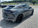 Thumbnail image of 2019 Lamborghini Urus at Auto Connection LLC