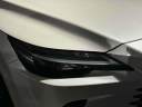 Thumbnail image of 2023 Lexus RX 350 at Lexus of Freeport