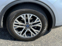 Thumbnail image of 2022 Ford Escape at All State Ford Truck Sales Used