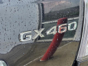 Thumbnail image of 2019 Lexus GX 460 at Lexus of Mobile