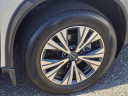 Thumbnail image of 2023 Nissan Rogue at Peruzzi Nissan