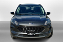 Thumbnail image of 2020 Ford Escape Hybrid at Mike Murphy Ford Inc. - New
