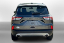 Thumbnail image of 2020 Ford Escape Hybrid at Mike Murphy Ford Inc. - New