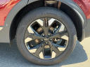 Thumbnail image of 2023 Kia Sportage at Fred Anderson Hyundai