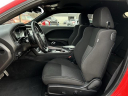Thumbnail image of 2023 Dodge Challenger at Lasco Ford