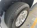 Thumbnail image of 2019 Chevrolet Tahoe at GWINNETT MOTOR COMPANY