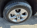 Thumbnail image of 2022 Toyota RAV4 at D'orazio Ford
