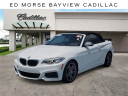Thumbnail image of 2015 BMW 2 Series at Ed Morse Bayview Cadillac