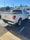 Thumbnail image of 2013 Ford F-150 at SUMTER AUTO SOURCE LLC