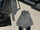 Thumbnail image of 2023 Nissan Rogue at Joseph Buick GMC Truck Inc.