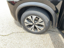 Thumbnail image of 2023 Nissan Rogue at Joseph Buick GMC Truck Inc.