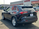 Thumbnail image of 2019 Toyota RAV4 at Autoland Toyota