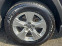 Thumbnail image of 2019 Toyota RAV4 at Autoland Toyota