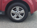 Thumbnail image of 2011 Ford Escape at Daytona Nissan Isuzu Used