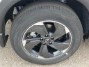 Thumbnail image of 2025 Nissan Rogue at Grand Blanc Nissan