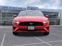 Thumbnail image of 2023 Ford Mustang at Ford of Montebello - USED