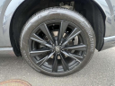 Thumbnail image of 2024 Lexus RX 500h at Lexus of Freeport