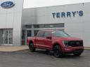 2022 Ford F-150 Platinum at USED - Terry's Ford of Peotone