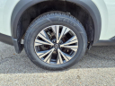 Thumbnail image of 2023 Nissan Rogue at Bayway Chevrolet