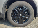 Thumbnail image of 2020 Nissan Rogue at Woodbury Nissan Inc
