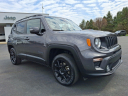 Thumbnail image of 2019 Jeep Renegade at Brown Daub Chrysler Dodge Jeep Ram Fiat