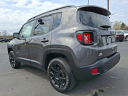 Thumbnail image of 2019 Jeep Renegade at Brown Daub Chrysler Dodge Jeep Ram Fiat
