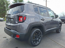 Thumbnail image of 2019 Jeep Renegade at Brown Daub Chrysler Dodge Jeep Ram Fiat