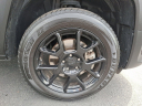 Thumbnail image of 2019 Jeep Renegade at Brown Daub Chrysler Dodge Jeep Ram Fiat