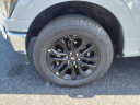 Thumbnail image of 2023 Ford F-150 at Ramey Chevrolet