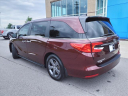 Thumbnail image of 2021 Honda Odyssey at Gallatin Honda
