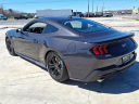 Thumbnail image of 2024 Ford Mustang at Used - Boulevard Lincoln