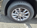 Thumbnail image of 2024 GMC Terrain at Pogue Chevrolet Buick Gmc