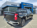 Thumbnail image of 2022 Chevrolet Silverado 1500 Limited at Pogue Chevrolet Buick Gmc