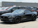 2018 Ford Mustang GT Premium at Lasco Ford