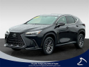 Thumbnail image of 2023 Lexus NX 350 at Fox Chrysler Dodge Jeep Ram Taylor