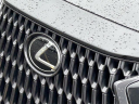 Thumbnail image of 2023 Lexus NX 350 at Fox Chrysler Dodge Jeep Ram Taylor