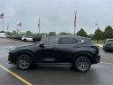 Thumbnail image of 2023 Lexus NX 350 at Fox Chrysler Dodge Jeep Ram Taylor