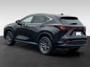 Thumbnail image of 2023 Lexus NX 350 at Fox Chrysler Dodge Jeep Ram Taylor