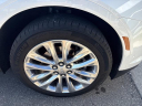 Thumbnail image of 2019 Cadillac XT5 at Al Serra Chrysler  Dodge Jeep Ram