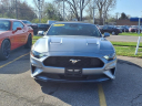 Thumbnail image of 2023 Ford Mustang at Taylor Chevrolet