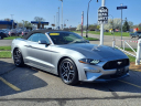 Thumbnail image of 2023 Ford Mustang at Taylor Chevrolet