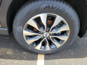 Thumbnail image of 2024 Subaru Outback at Beechmont Subaru