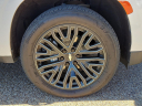 Thumbnail image of 2024 Chevrolet Tahoe at Frank Brown Honda GMC