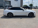 Thumbnail image of 2017 Ford Mustang at Hudiburg Ford